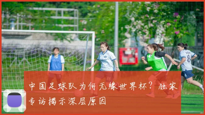 中国足球队为何无缘世界杯？独家专访揭示深层原因