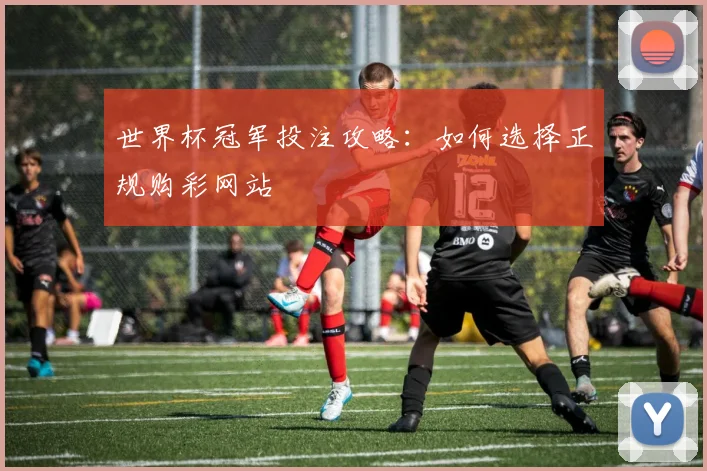 世界杯冠军投注攻略：如何选择正规购彩网站
