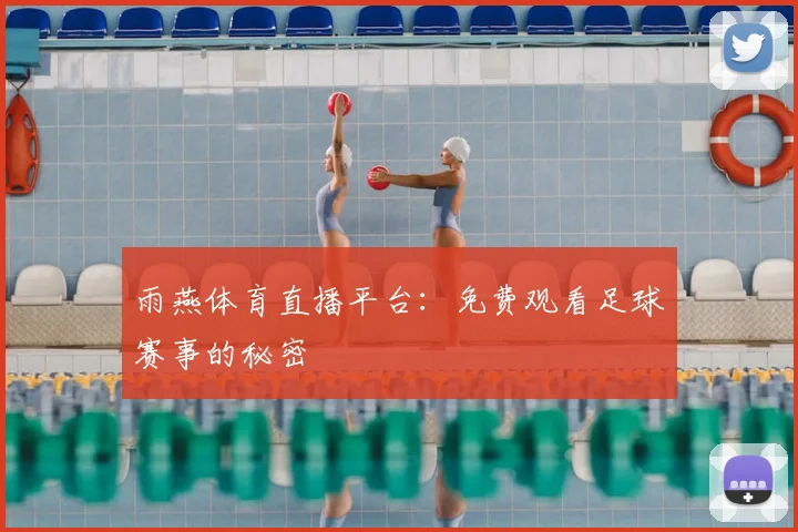 雨燕体育直播平台：免费观看足球赛事的秘密
