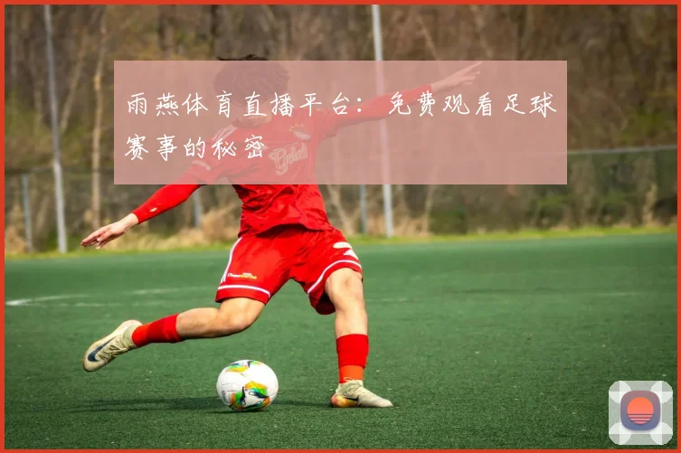 雨燕体育直播平台：免费观看足球赛事的秘密