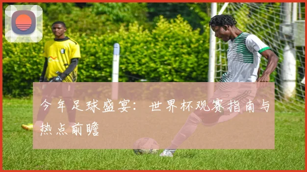 今年足球盛宴：世界杯观赛指南与热点前瞻