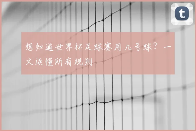 想知道世界杯足球赛用几号球？一文读懂所有规则