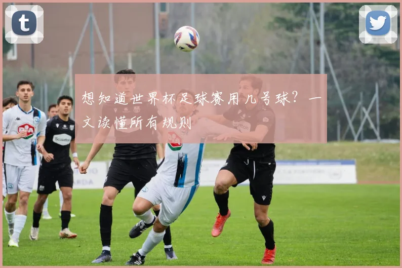 想知道世界杯足球赛用几号球?一文读懂所有规则