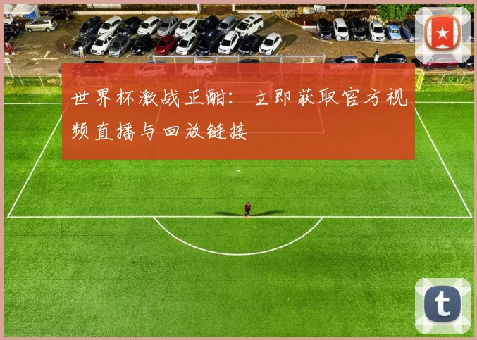 世界杯激战正酣:立即获取官方视频直播与回放链接