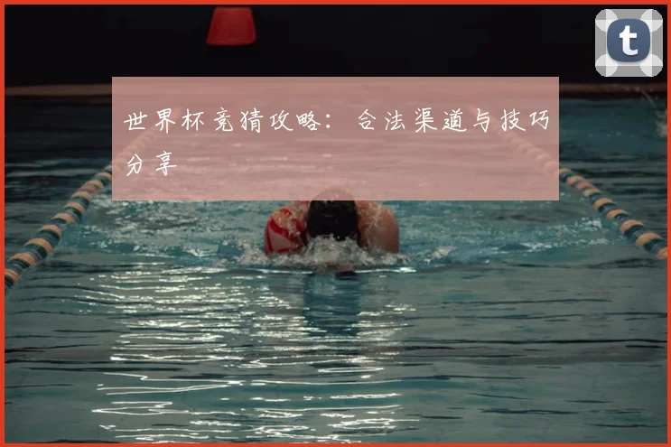 世界杯竞猜攻略:合法渠道与技巧分享