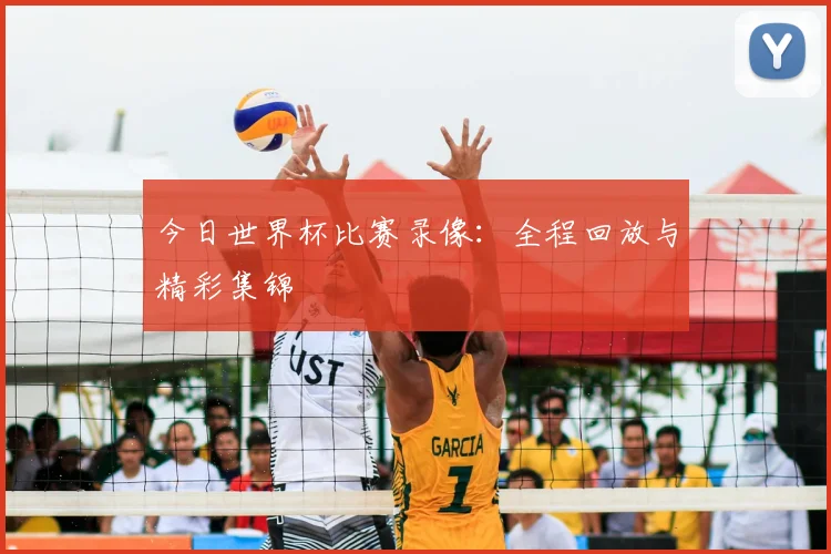 今日世界杯比赛录像：全程回放与精彩集锦